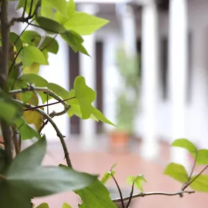 Adanar-las Columnas Apartamento